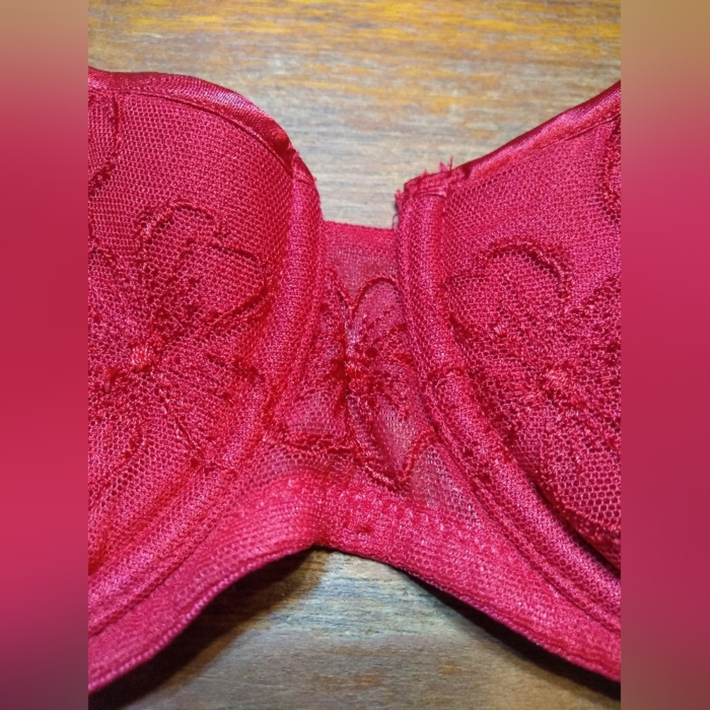 La Senza 2-Piece Red Bra (34B) & Red Lace Garter (Size Medium) - Picture 3 of 15